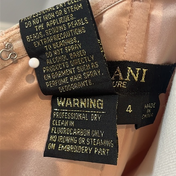 Terani Couture Prom Long Dress - Picture 15 of 17